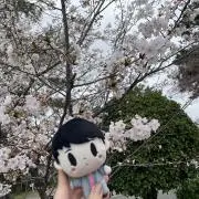Hioriの画像