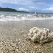 ろろ【プロフ必読】の画像