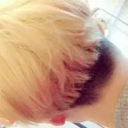 kinokoの画像