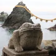 hillbookの画像