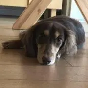 くうの画像