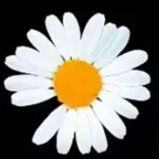 gum プロフィール必読の画像