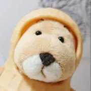 ちゃかかの画像