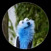 trの画像