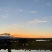 エビマヨの画像