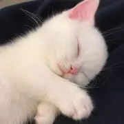 mの画像