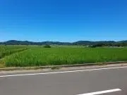 akezoの画像