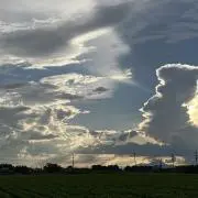 サボテンくんの画像