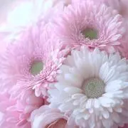 Melt08+(candle)の画像