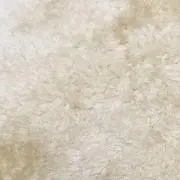 しろの画像