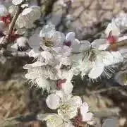 jiaの画像