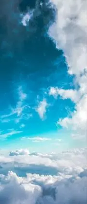 むぎ