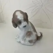 むーの画像