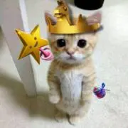 との画像