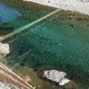JINの画像