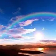 シャム姉の画像