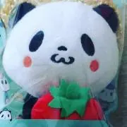 にぁの画像