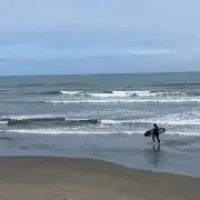 surf&seaの画像