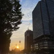 この画像