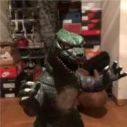パキちゃんの画像