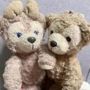 みみみのみの画像