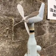 ランタの画像