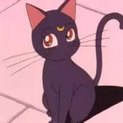 月の画像