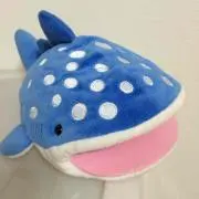 しいかの画像