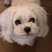 ゆっこ