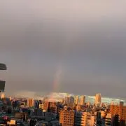 ぴのの画像