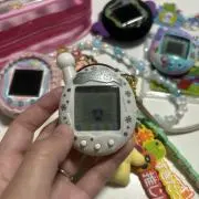 すチャンの画像