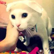 あみたん！