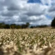 お疲れマン【即日発送可】