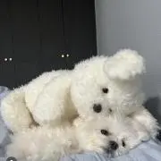 mの画像