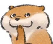Saco3の画像