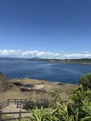 wawawaの画像