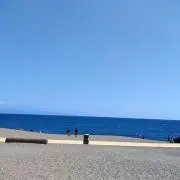 アオリンゴ