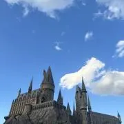 りらの画像