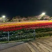 くまの画像