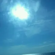 ゴリラ