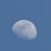 u ✴︎まとめ買い歓迎の画像