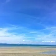 みの画像