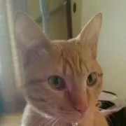✱ 寿々 ✱