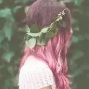 モリの画像