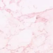 まろんの画像