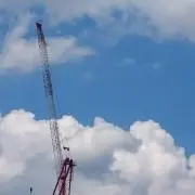 みるたま