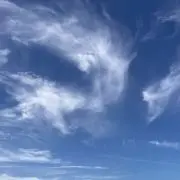 KEIの画像