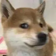 プロフ必読.comの画像