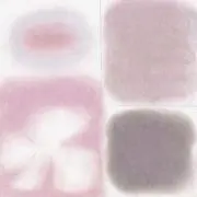 みみの画像