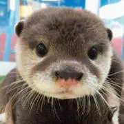 MAR☆の画像